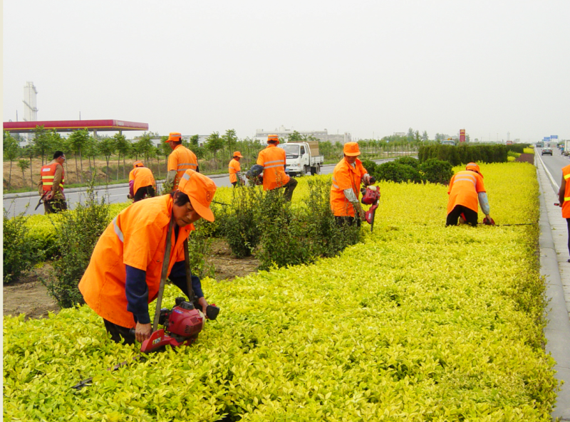 鄭新快速通道養(yǎng)護